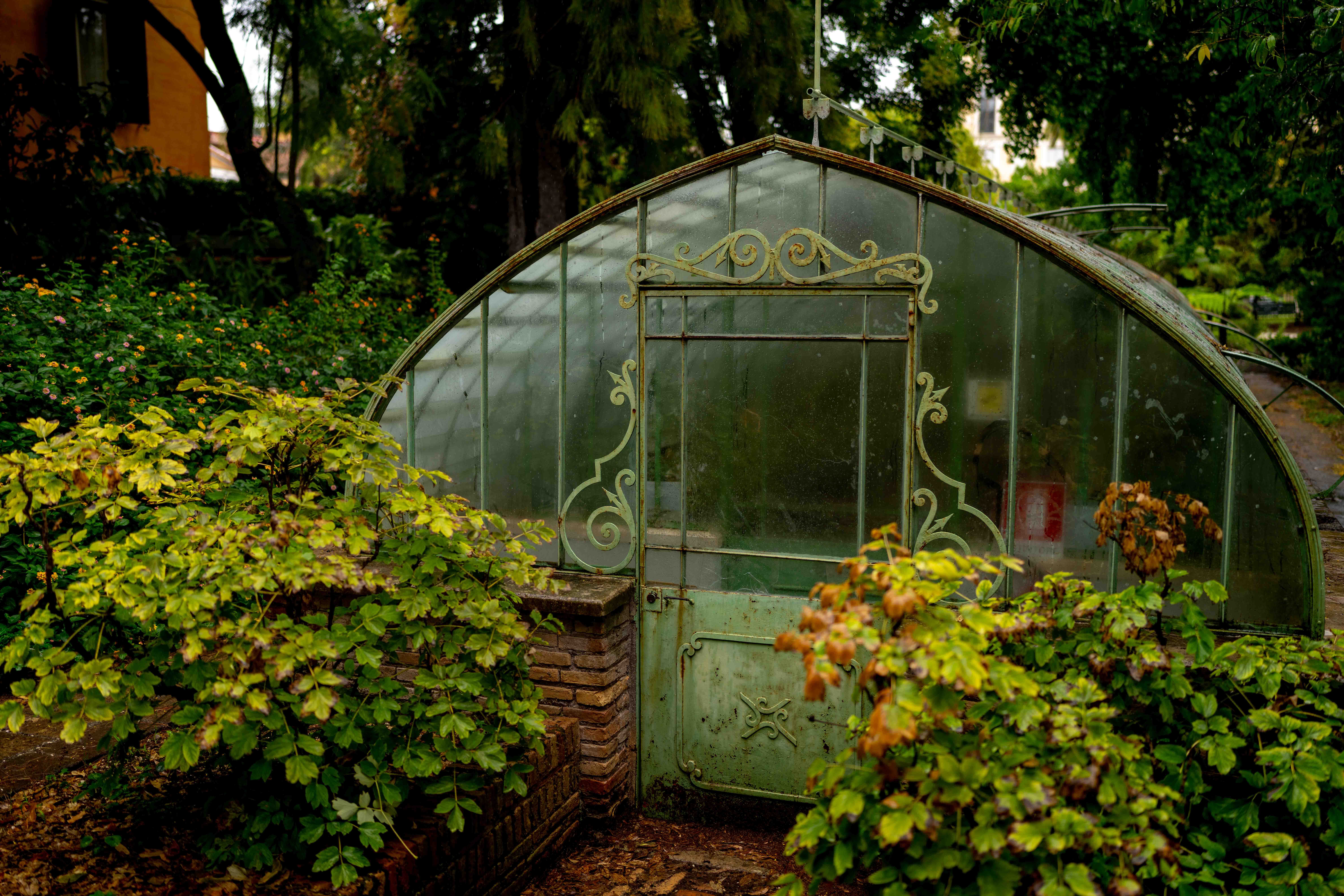 Photos from travel in Rome, Florence, Venice, Fall 2025.